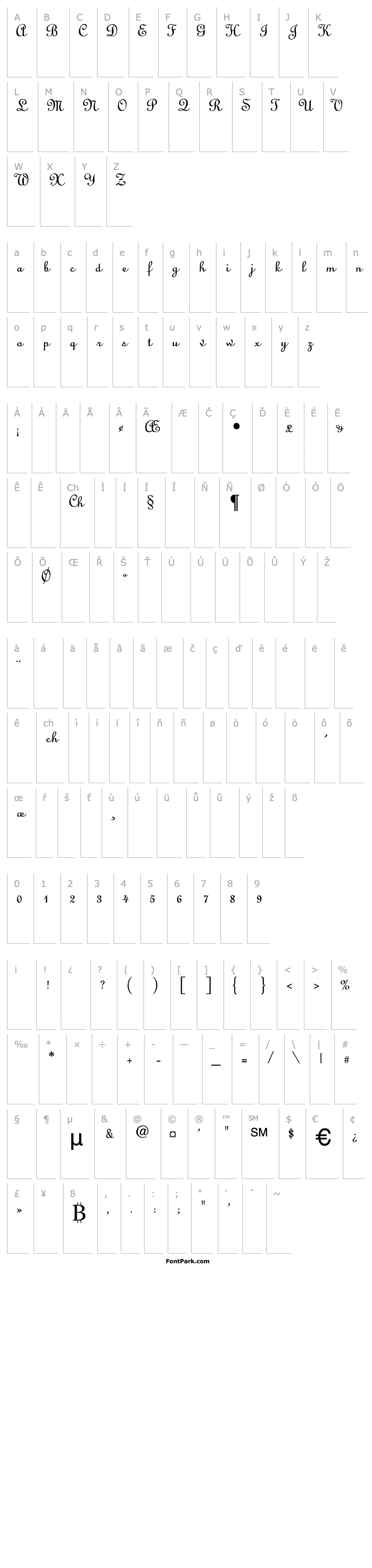 Overview Linoscript-Light