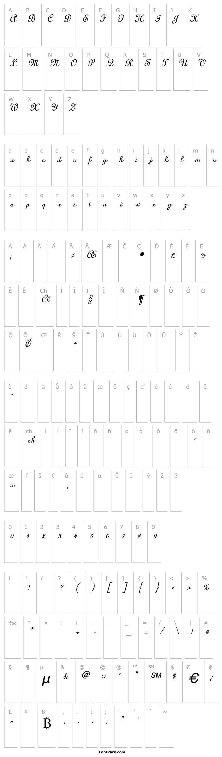 Overview Linoscript-Light Italic