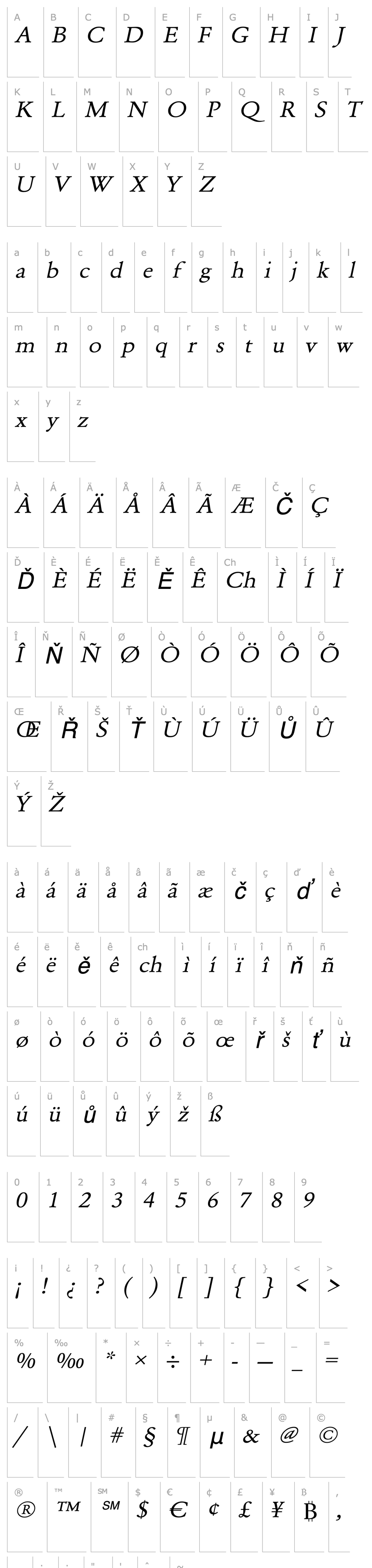 Přehled LionelBeckerExtended Italic