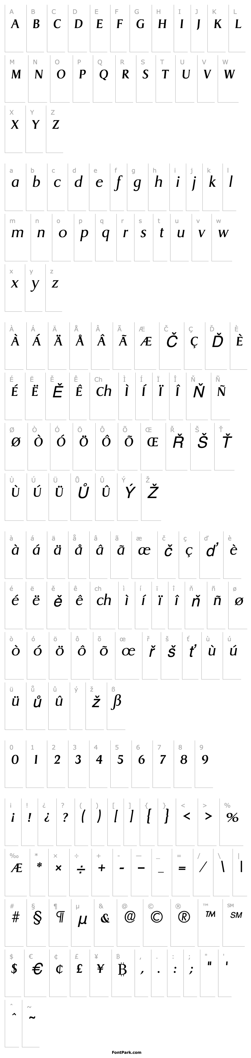 Přehled Llewelyn SF Italic