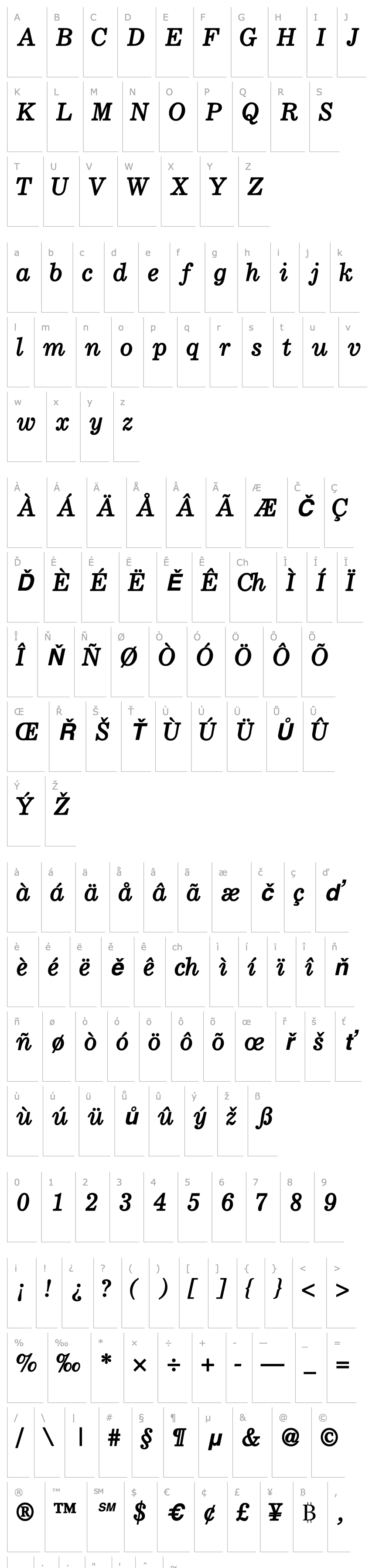 Overview LockupSSK Bold Italic