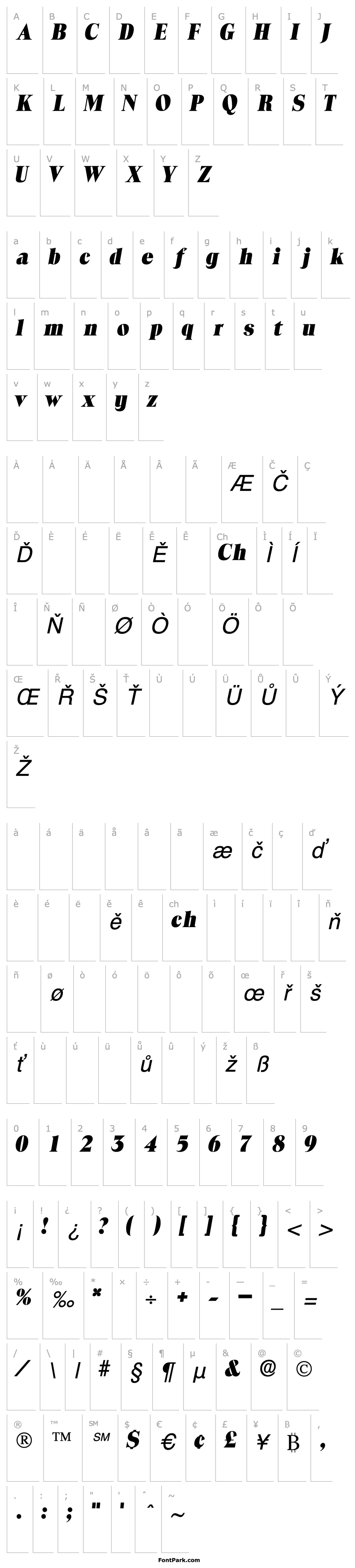 Přehled LocuraDisplaySSK Italic