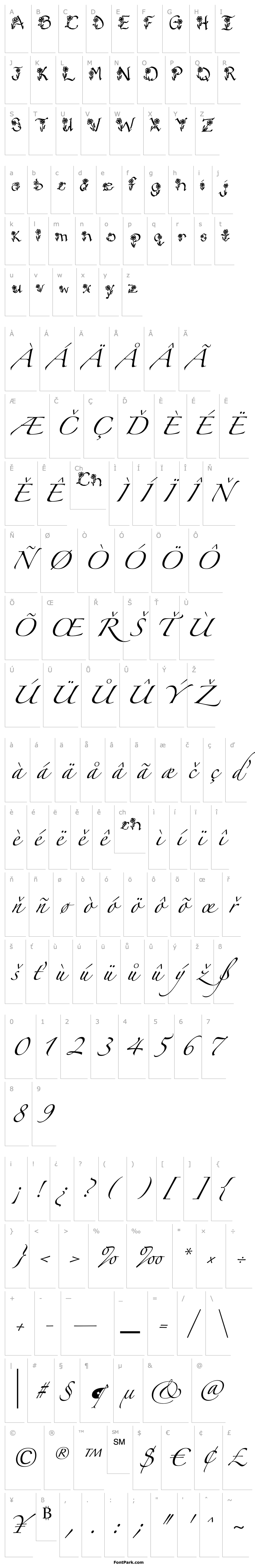 Overview LSCalligraphyFlowers