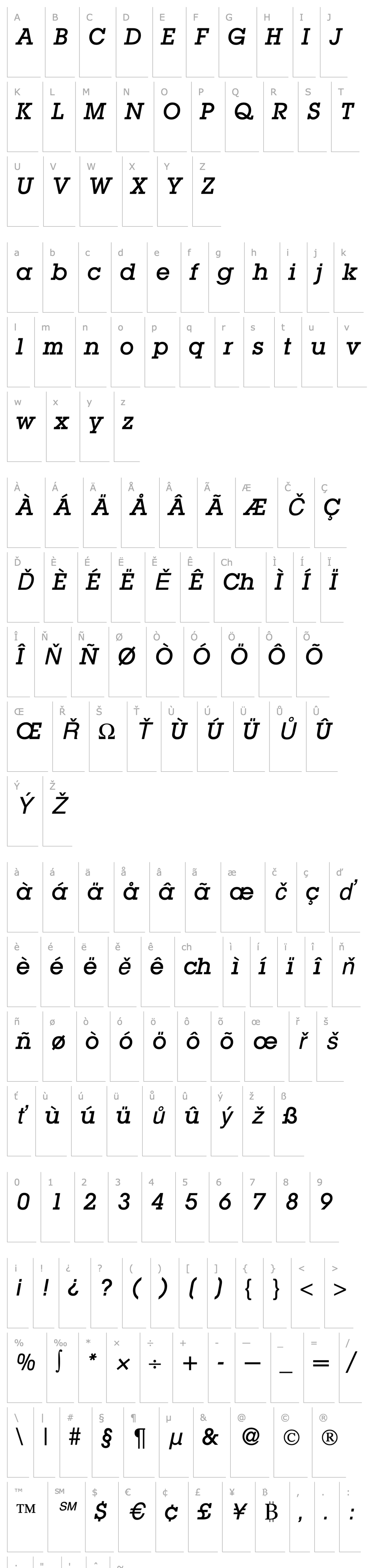 Přehled LubbersMedium-RegularItalic