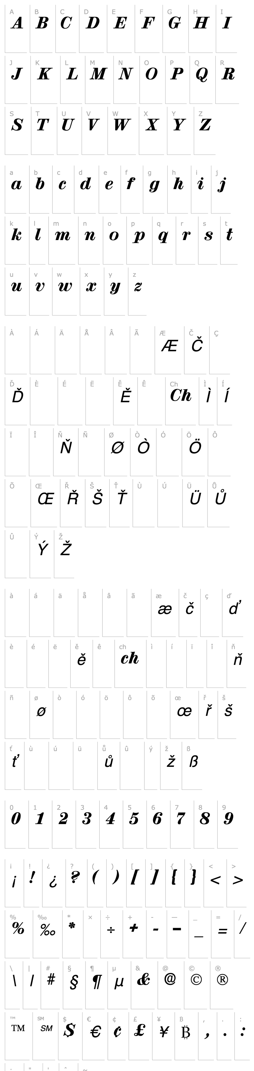 Přehled LuciaDisplaySSK Italic