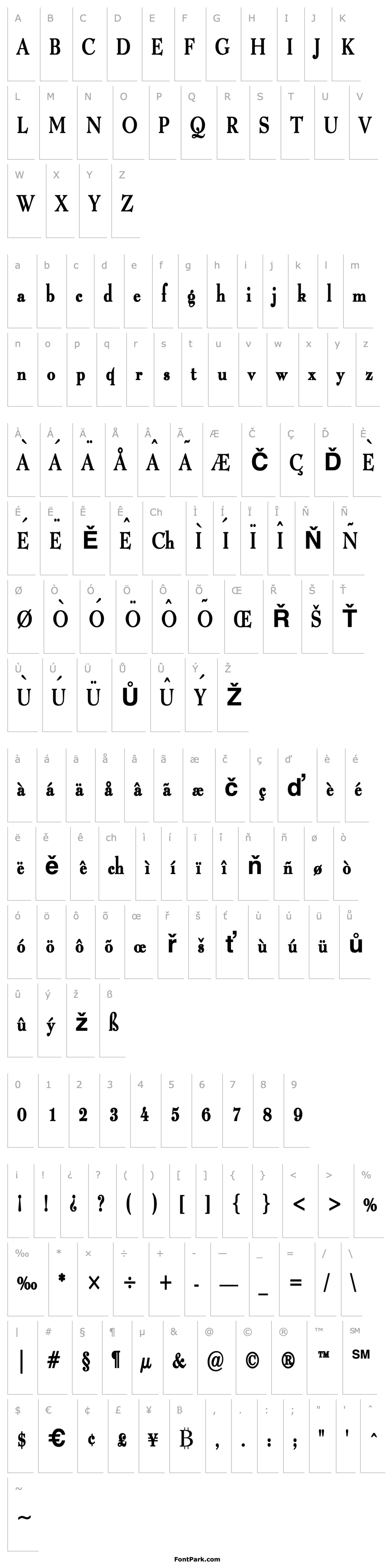 Overview Luciano Thin Bold