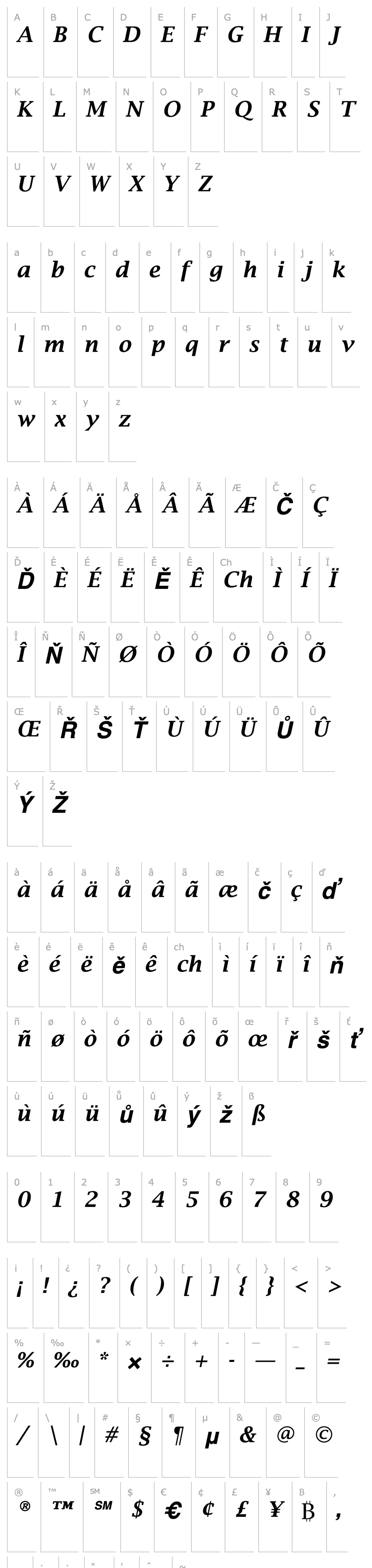 Přehled LucidaBrightEF-DemiBoldIta