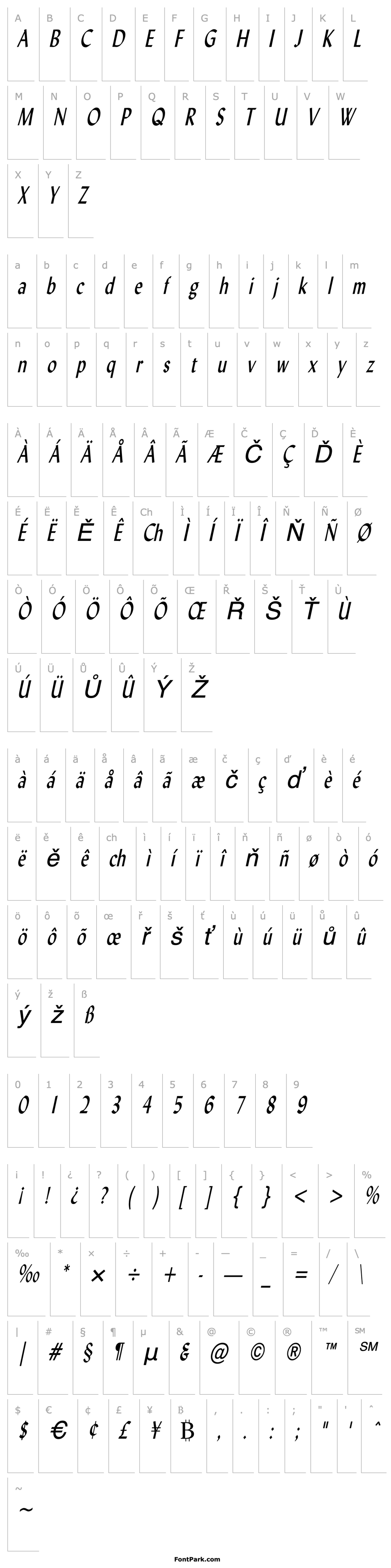 Overview Lynda Thin Italic