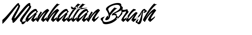 Preview Manhattan Brush
