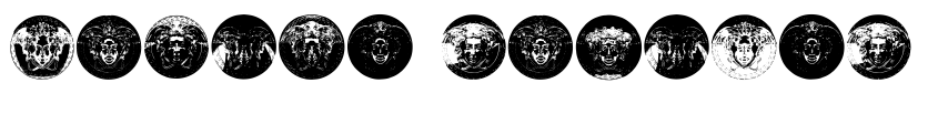 Preview Medusa Regular