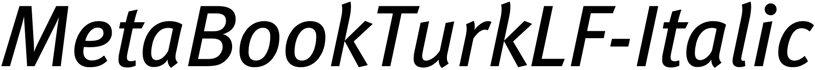 Preview MetaBookTurkLF-Italic