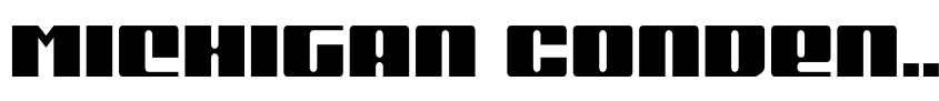 Preview Michigan Condensed