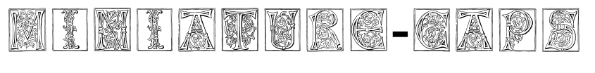 Preview Miniature-Caps