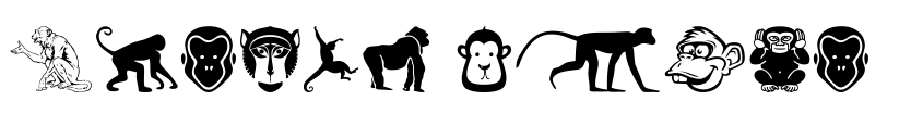 Preview Monkey Business