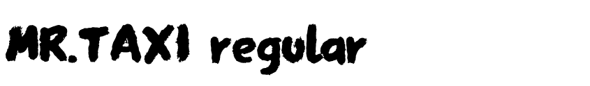 Preview MR.TAXI regular