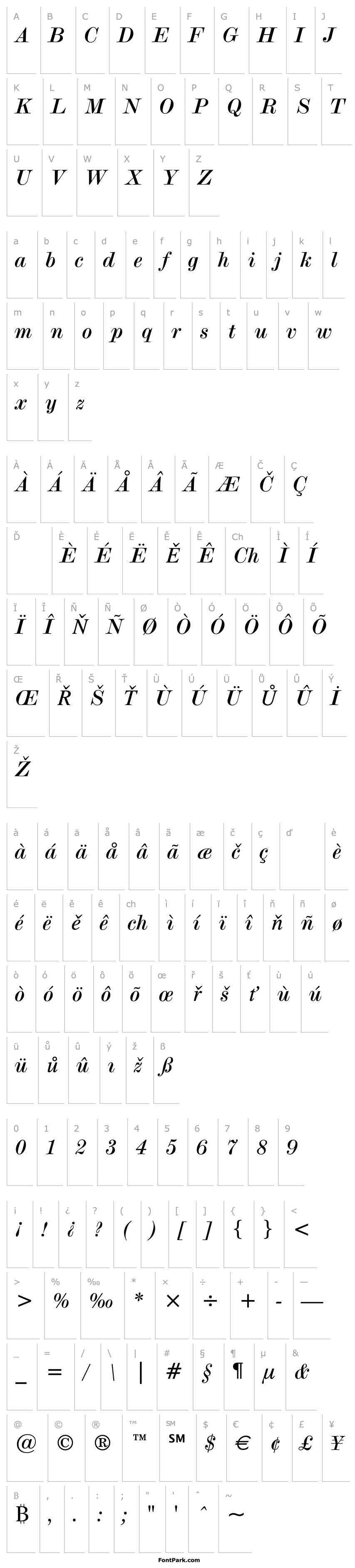 Overview Modern No.20 Italic BT