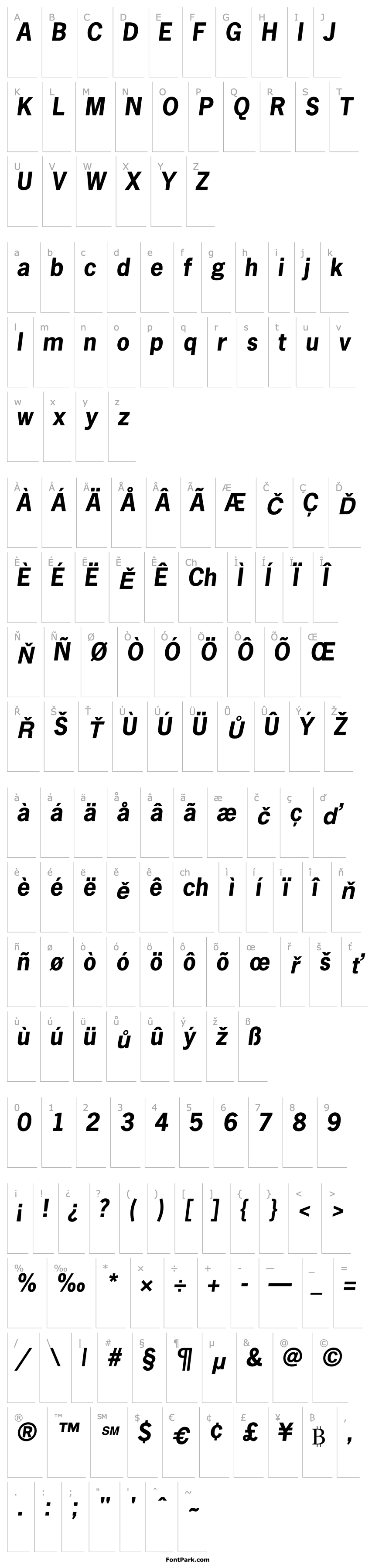 Overview Macro SSi Bold Italic