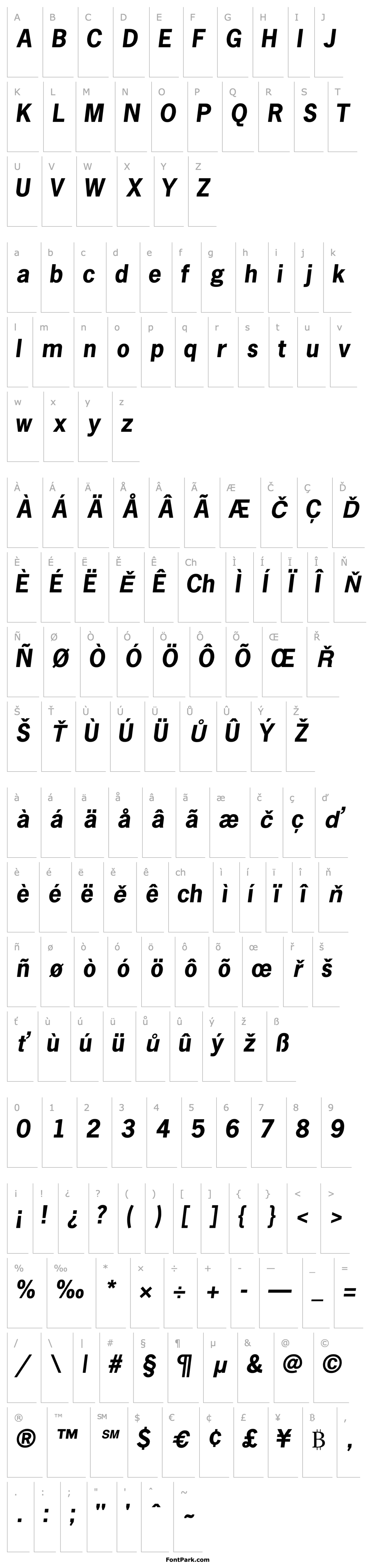 Přehled MacroSSK Bold Italic