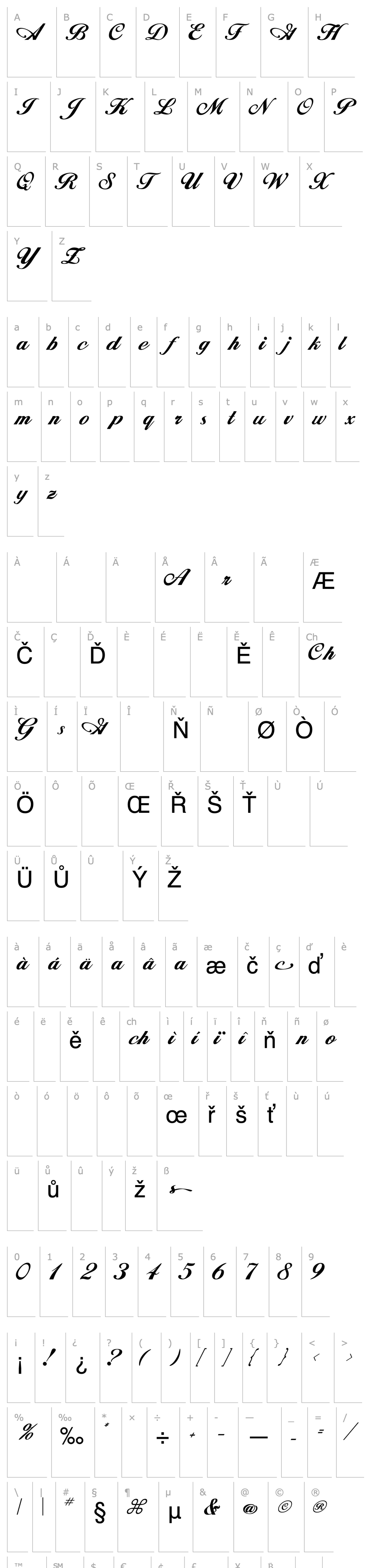 Přehled MagellanScriptSSK Regular