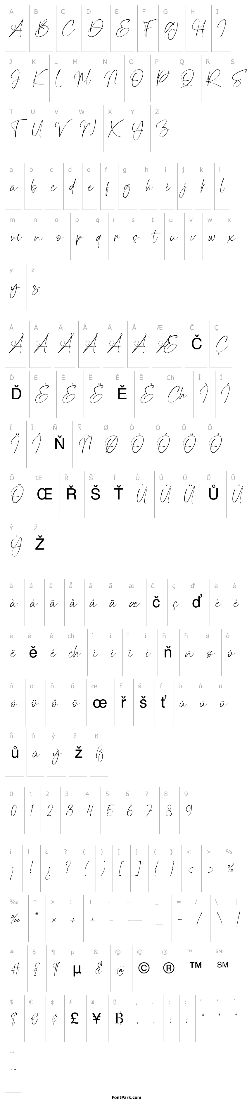 Overview Magis Authentic