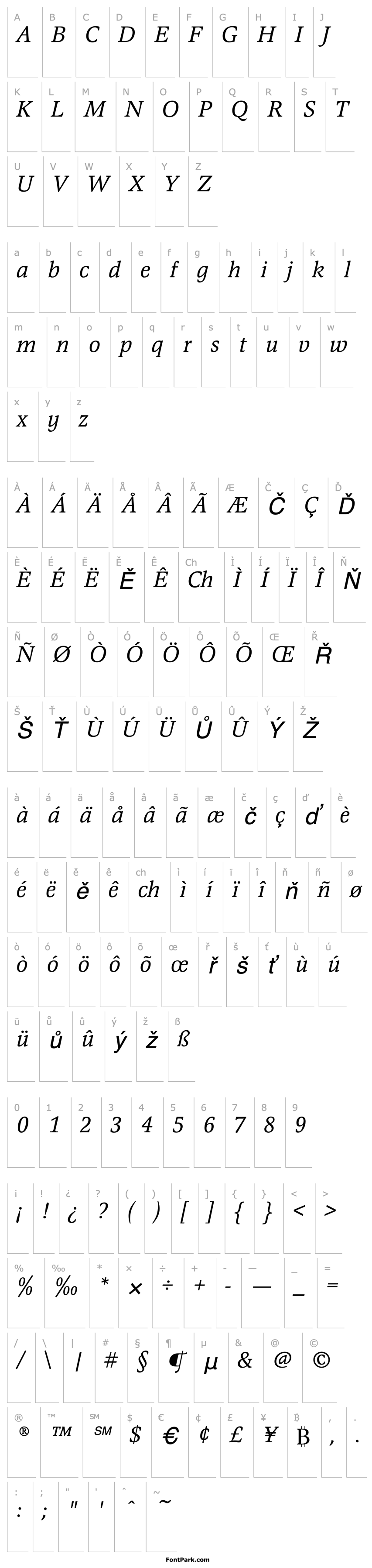 Přehled MagnaEF-Italic