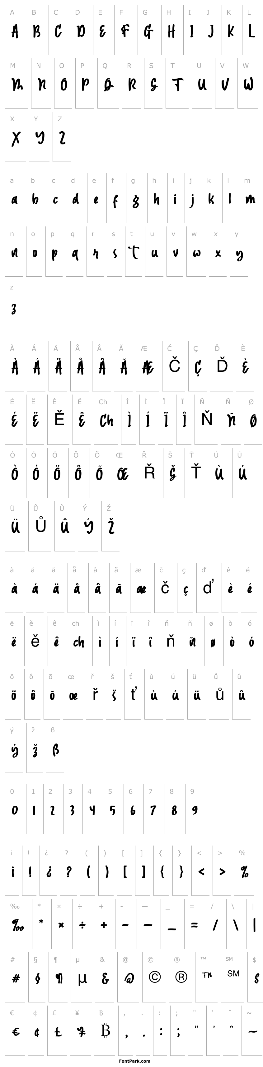 Overview Magnetto