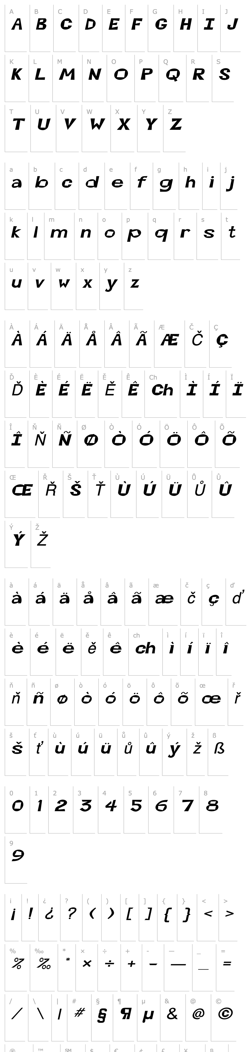 Přehled Magoo-Extended Italic