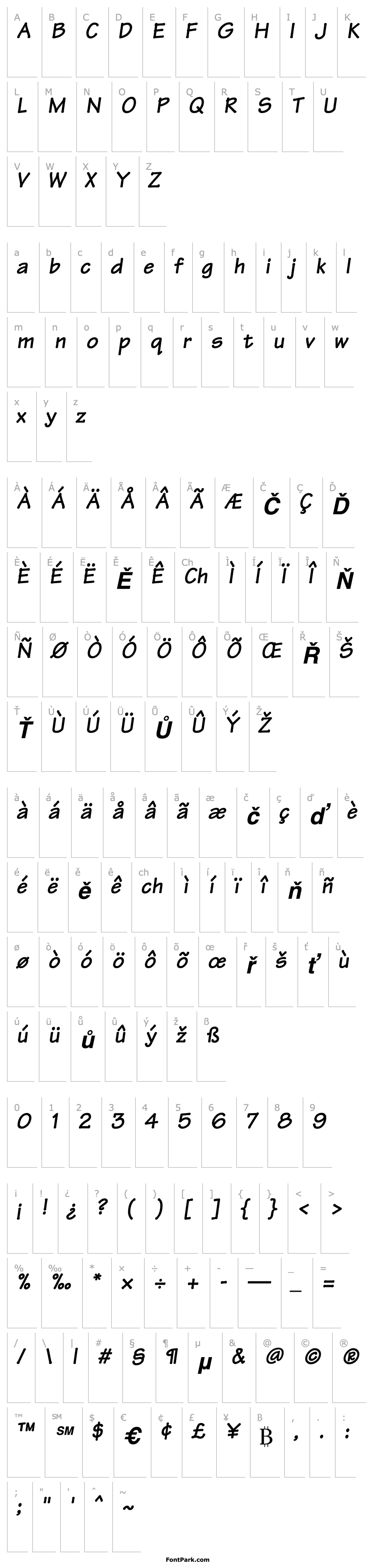 Overview Manual SSi Bold Italic