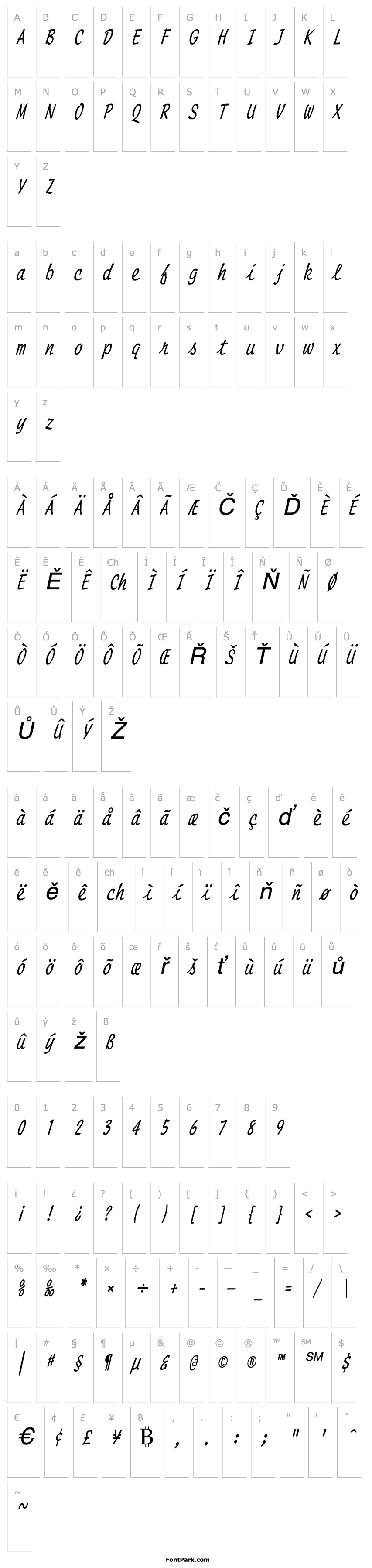 Přehled Manuscript Thin Italic