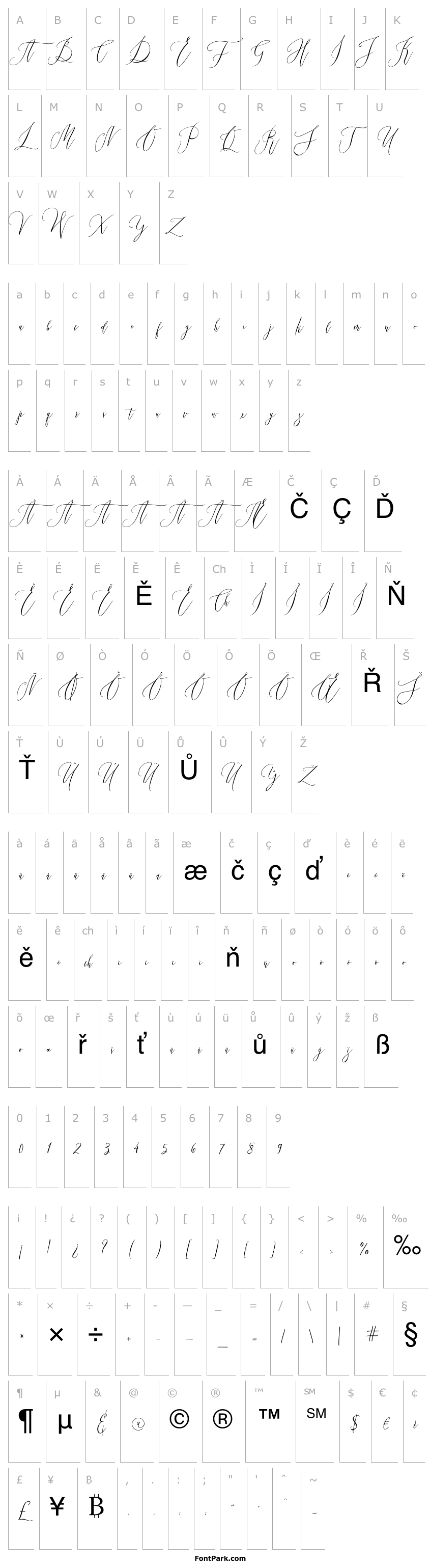 Overview Married Typefaces