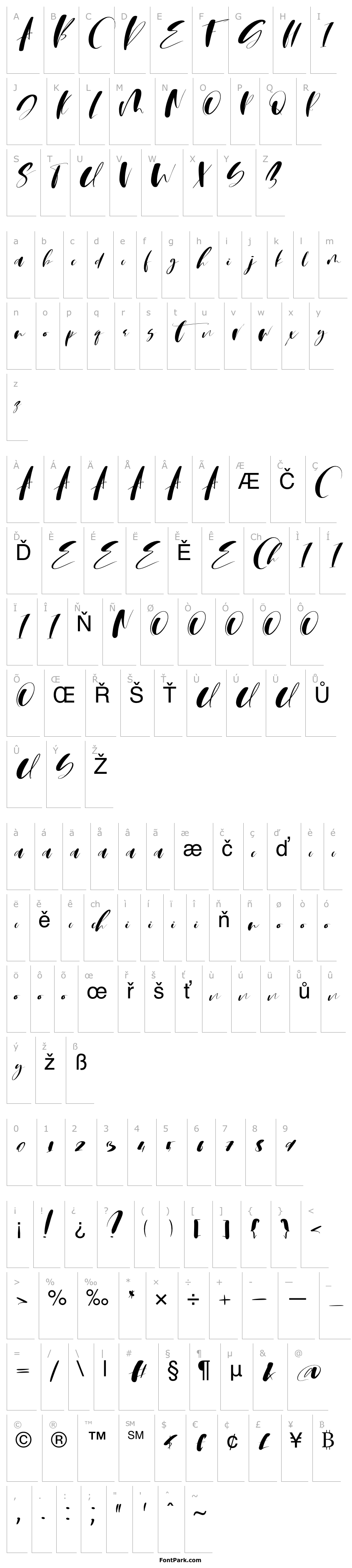 Overview Martin Script Font