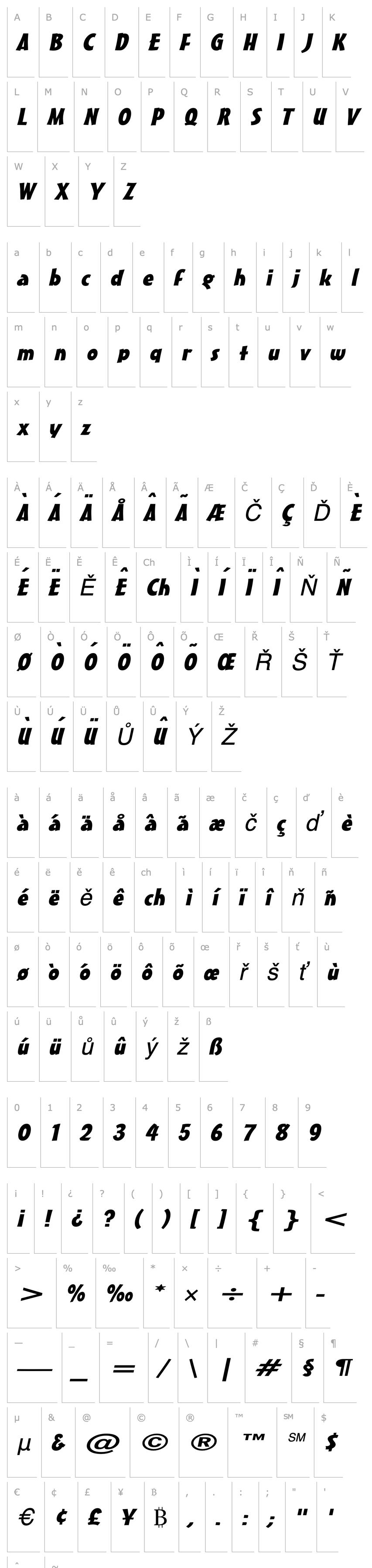 Přehled Massey Extended Italic