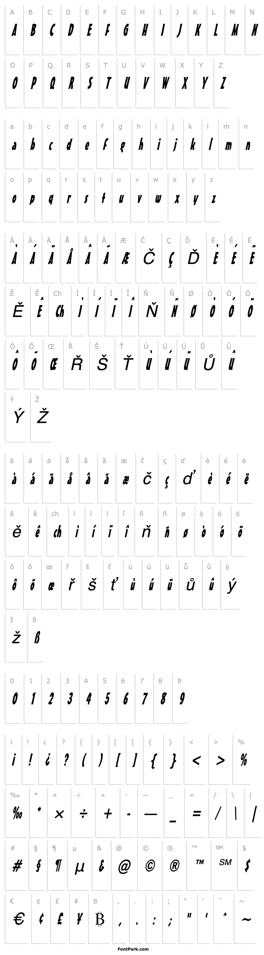 Přehled Massey Thin Italic