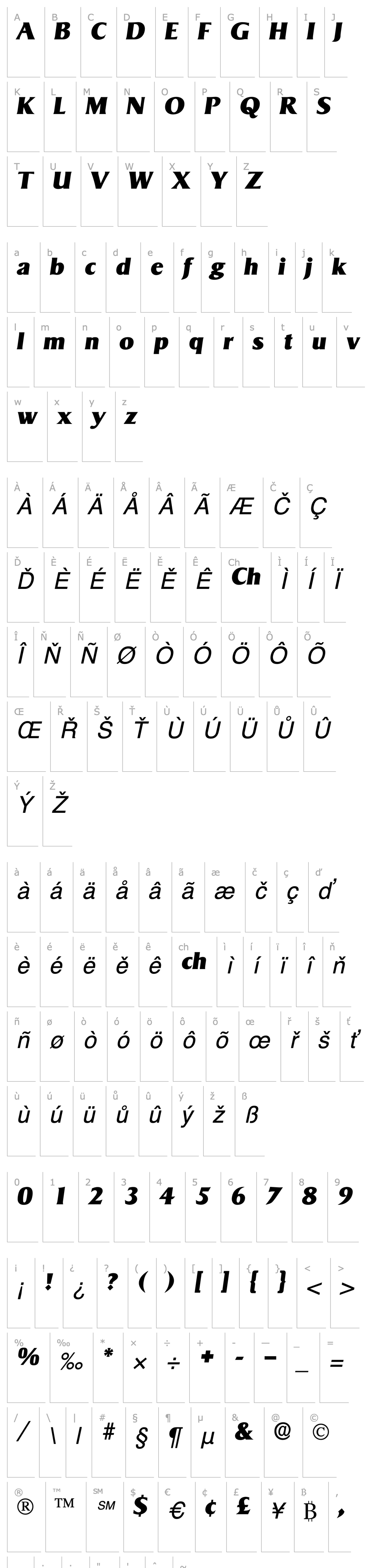 Overview Matrox Display SSi Italic