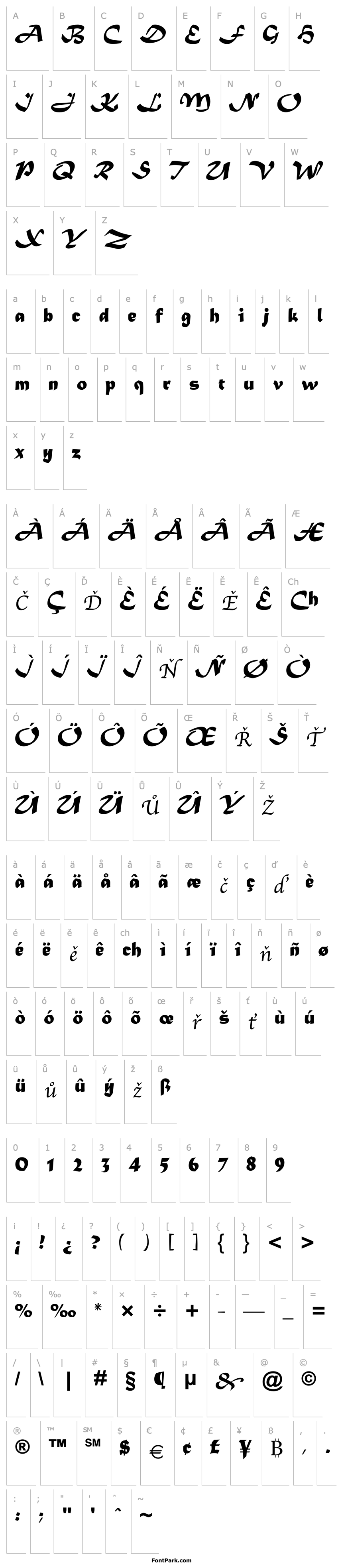 Přehled Matura MT Script Capitals2