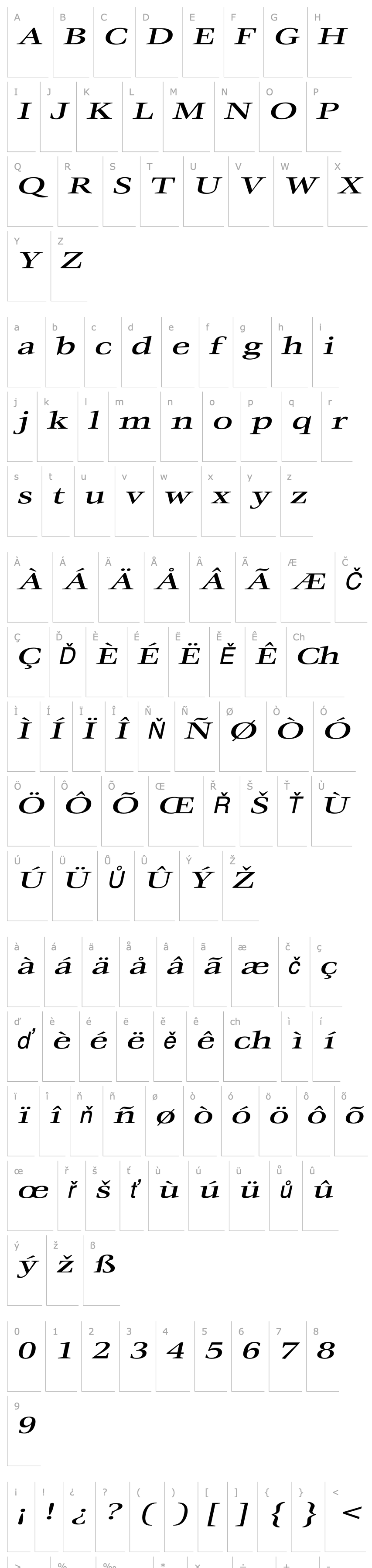 Přehled MatureExtended Italic