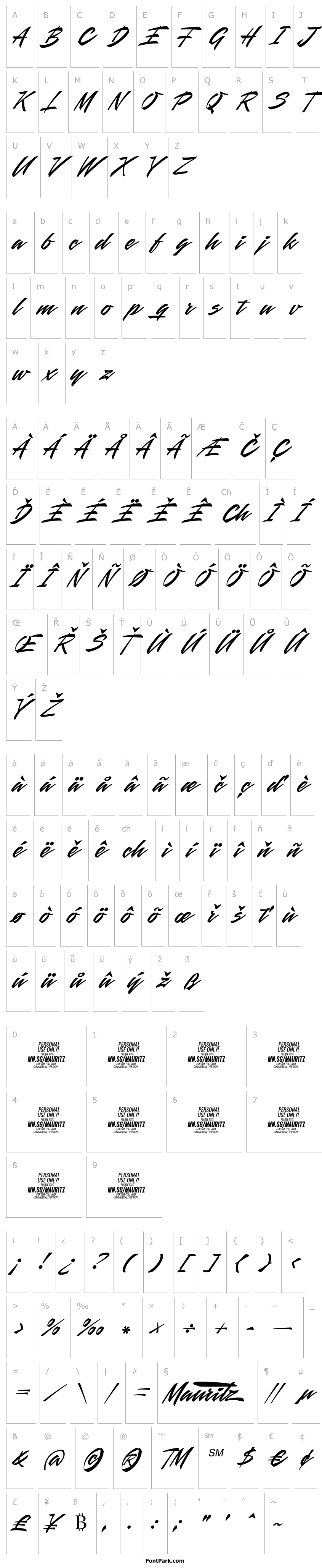 Přehled Mauritz PERSONAL USE ONLY Regular Italic
