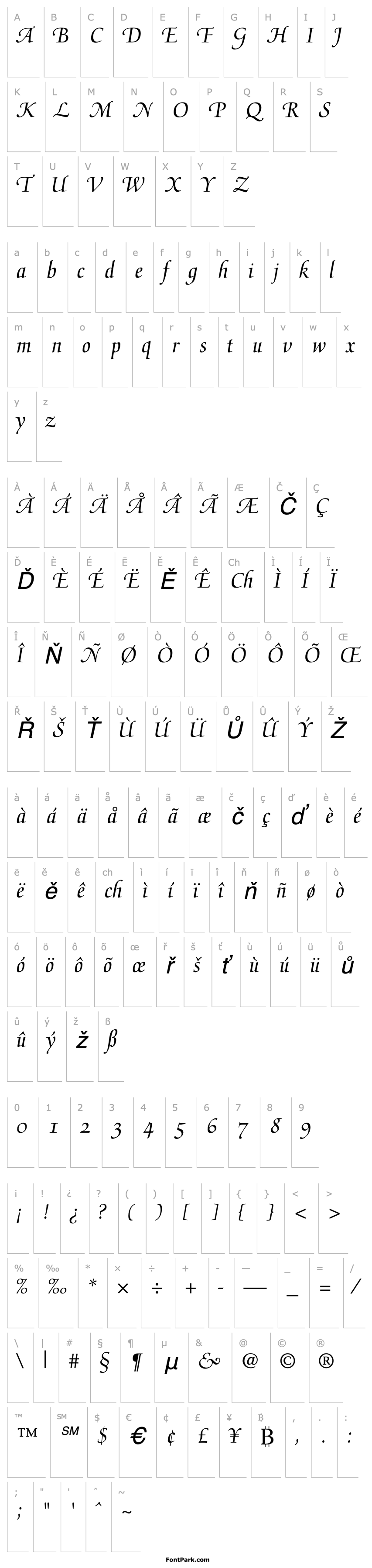 Overview Medici Script