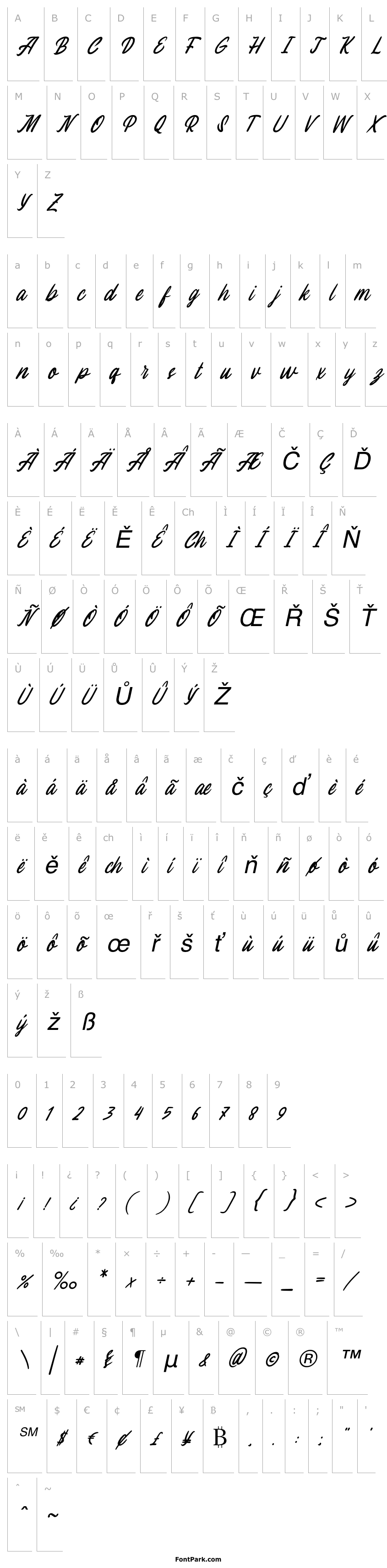 Přehled Melissa Italic