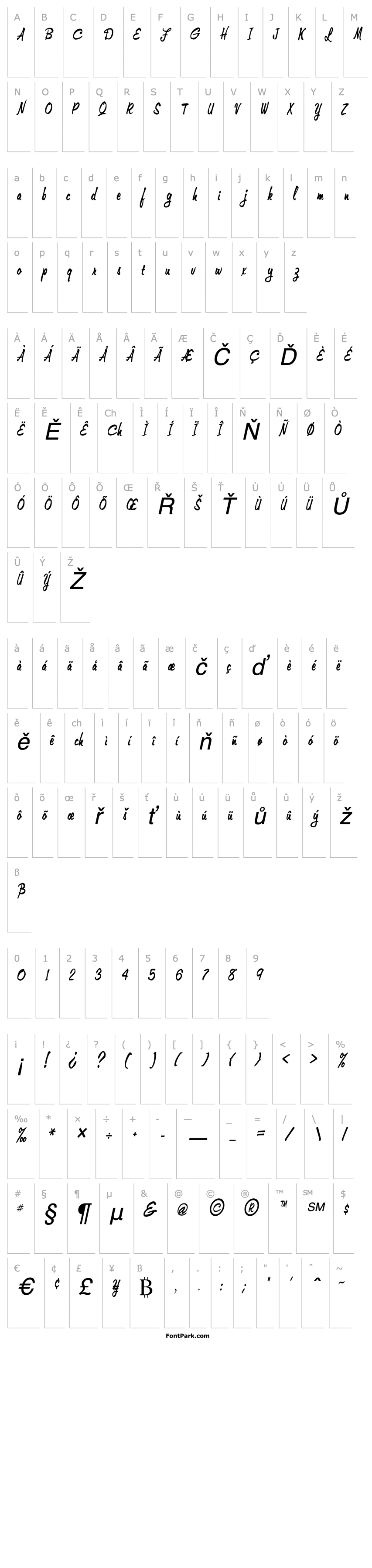 Overview Memo-Condensed Italic