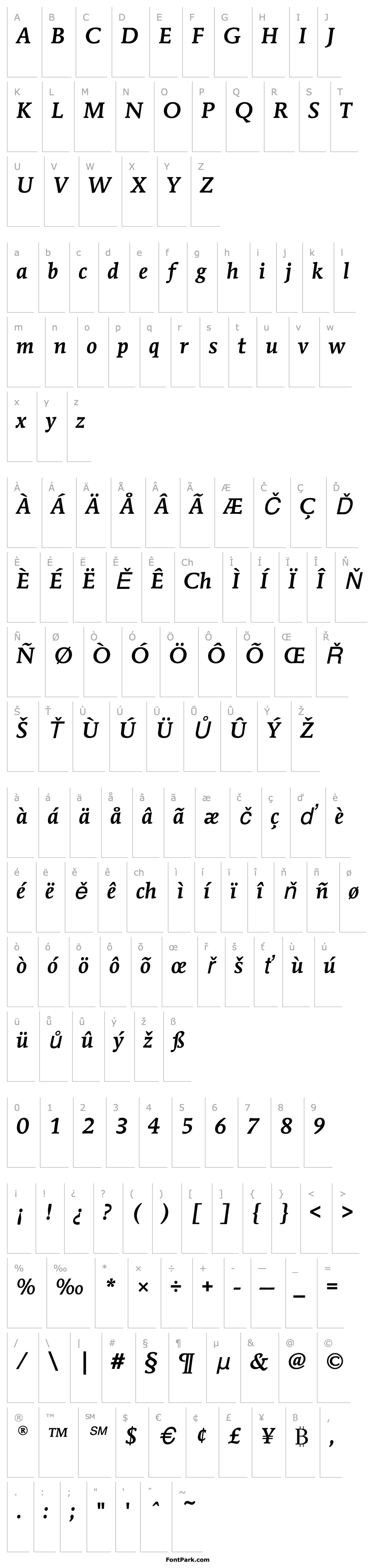 Přehled MendozaEF-MediumItalic