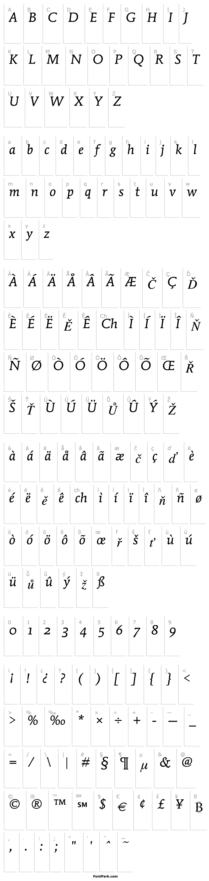 Overview MendozaRomanITCOS-BookItalic