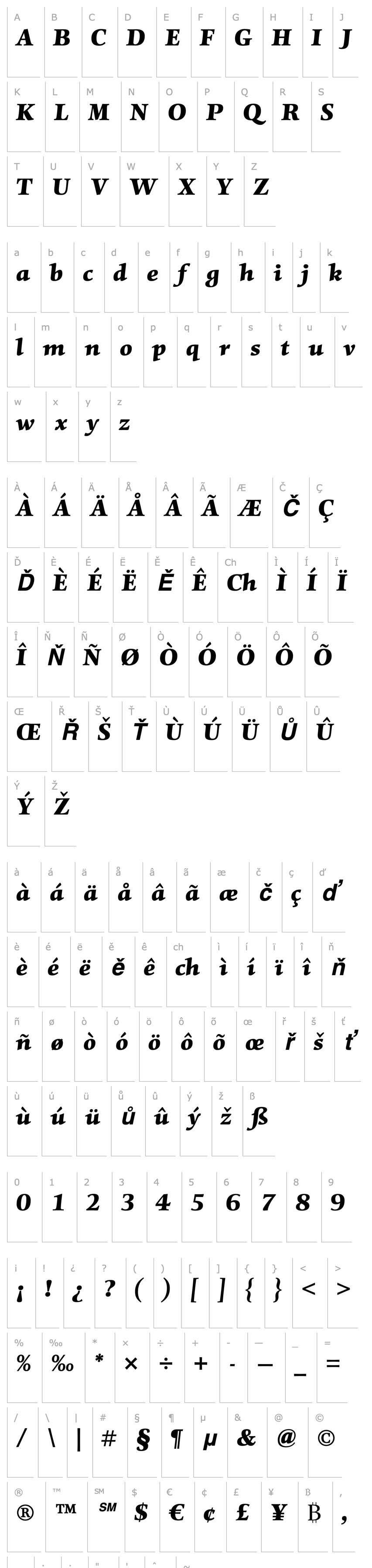 Přehled Mentor-BlackItalic