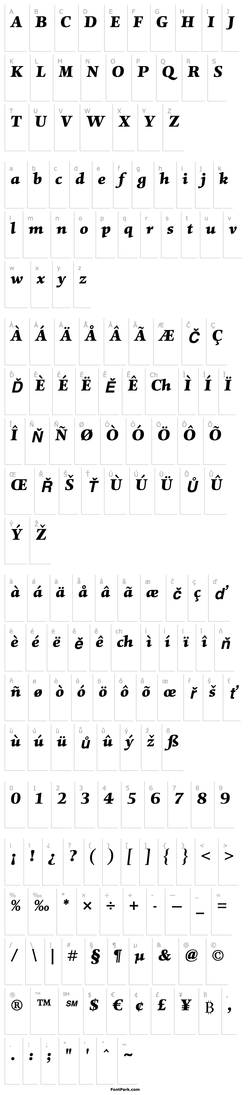 Přehled MentorStd-BlackItalic