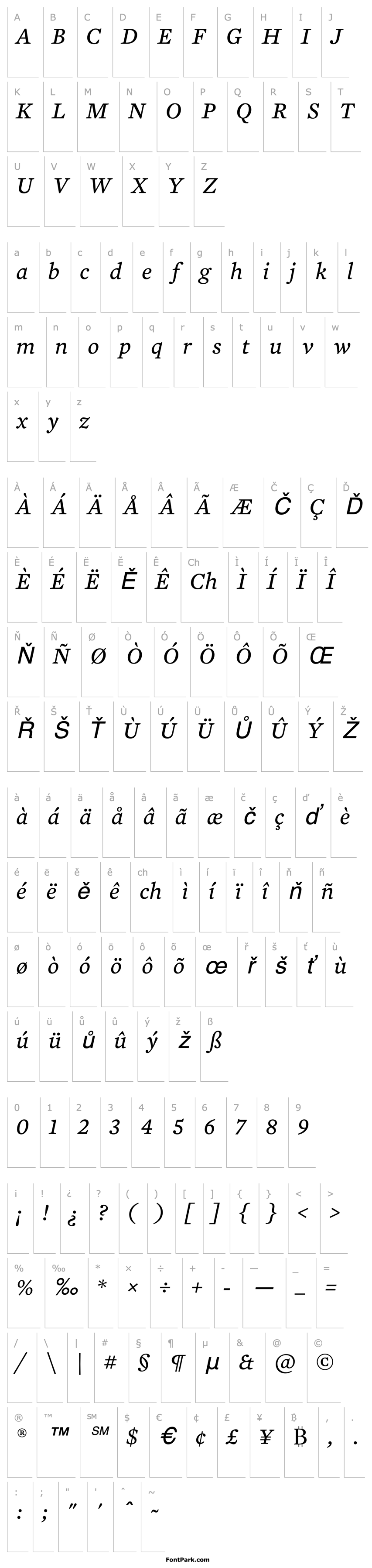 Přehled MercuryTextG2-Italic