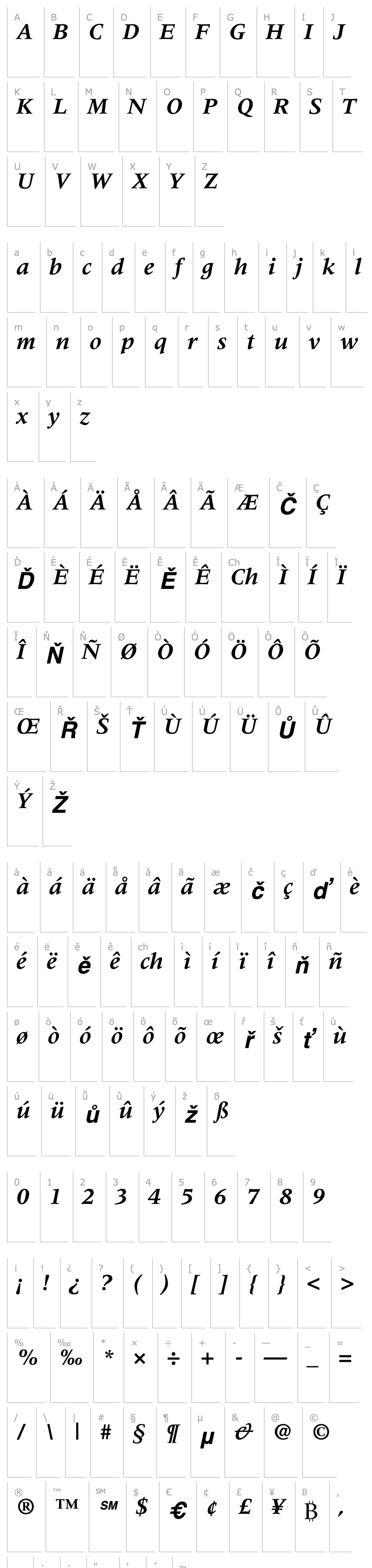 Přehled Meridien-Bold Italic