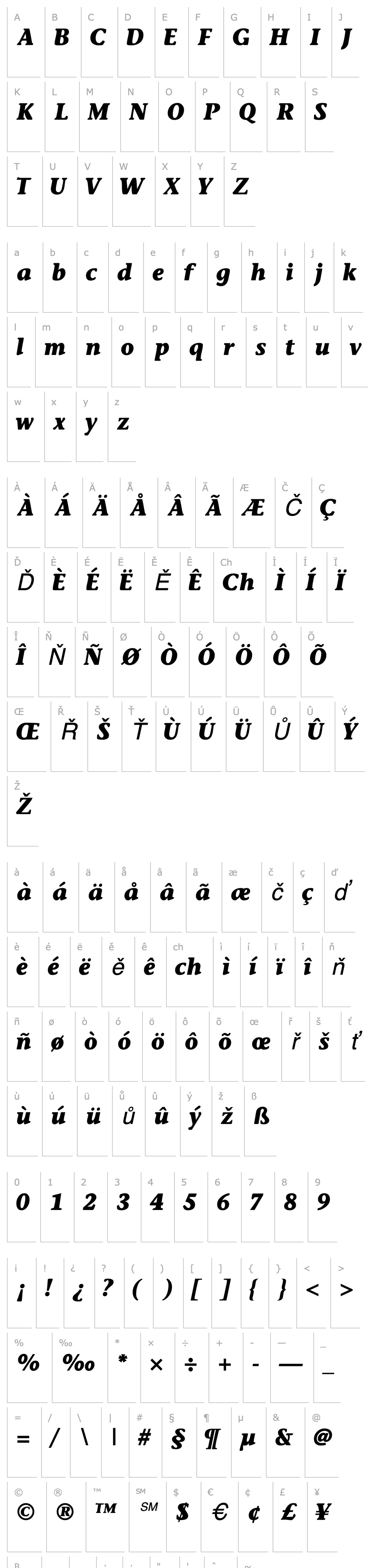 Přehled MesouranCasualBlackSSK Italic