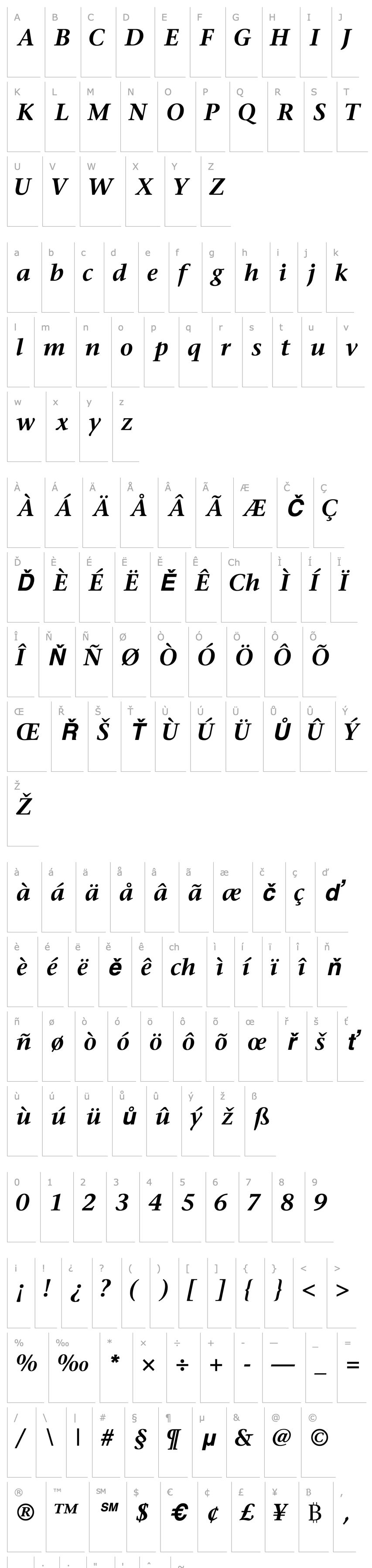 Přehled MesouranSerifSSK Bold Italic