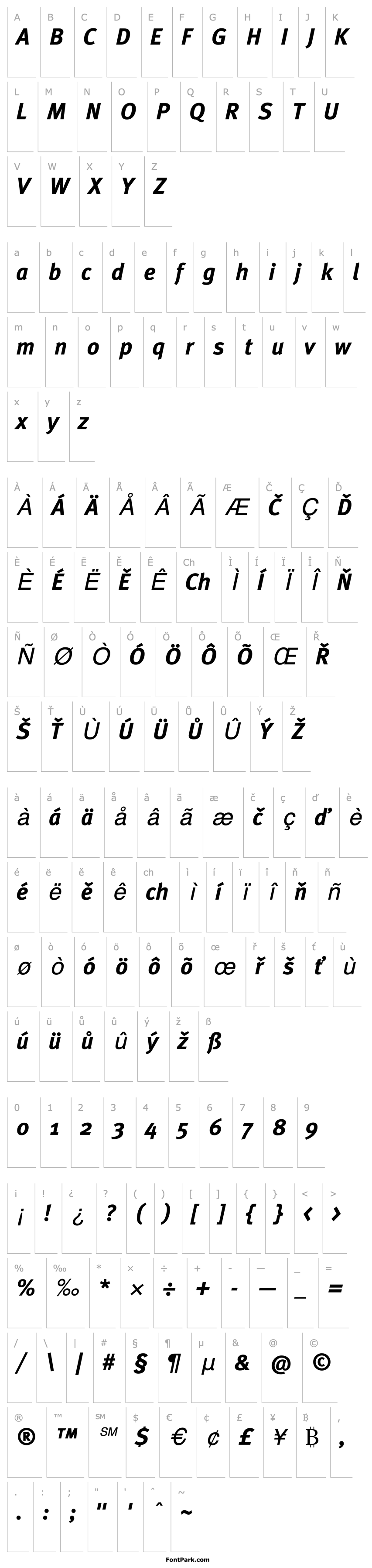 Přehled MetaBoldCE-Italic