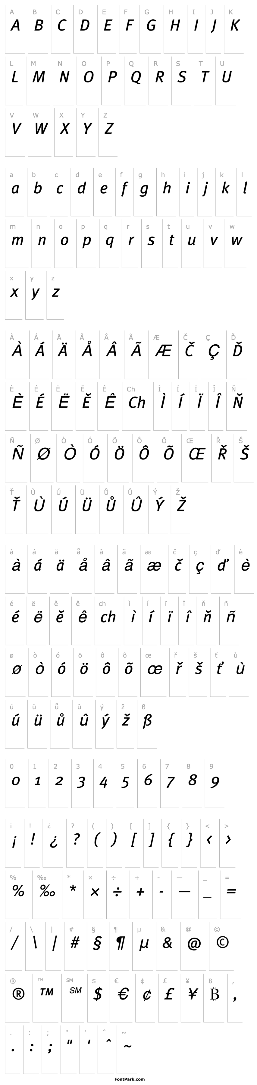 Přehled MetaBookCE-Italic